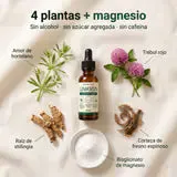 Ingredientes de Linfozen: 4 plantas y bisglicinato de magnesio