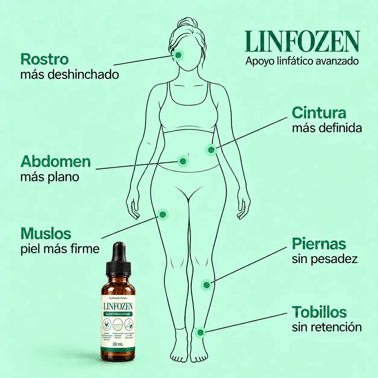 Dónde vas a notar Linfozen: rostro, cintura, abdomen, piernas, muslos y tobillos
